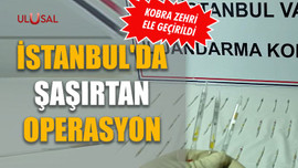 İstanbul'da şaşırtan operasyon: Kobra zehri ele geçirildi